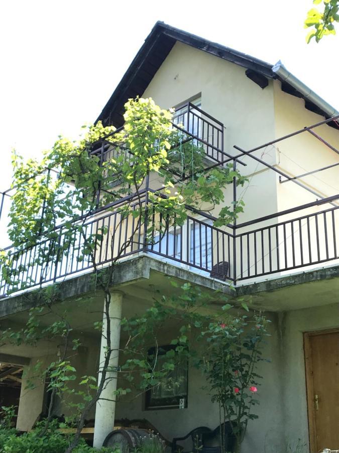 Apartment Aparthouse Bilic *